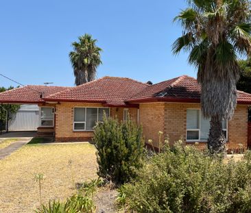 Delightful 3 Brm Family Home with Large Shed - Photo 3