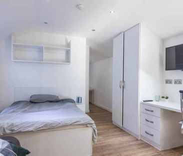 Large Premier Studio - Photo 4