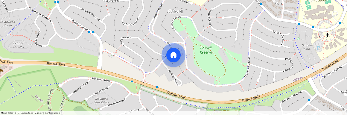 45 Tatchell Street, 2905, Calwell Act