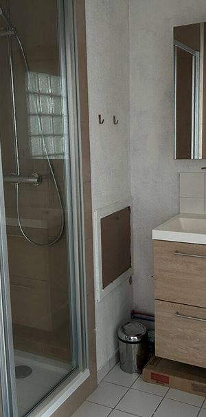 Appartement 2 pièces – LYON - Photo 1