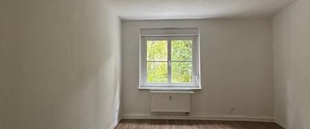 Altersgerechte Wohnung im Erdgeschoss mit Dusche - Rentner*innen gesucht!! - Foto 1