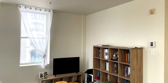 Grand 4½ — 49 Rue King Ouest, App. 310 - Photo 3