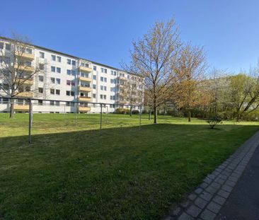 **Helle 2-RWG im EG – Balkon – Tageslichtbad mit Dusche **WE 32** - Photo 6