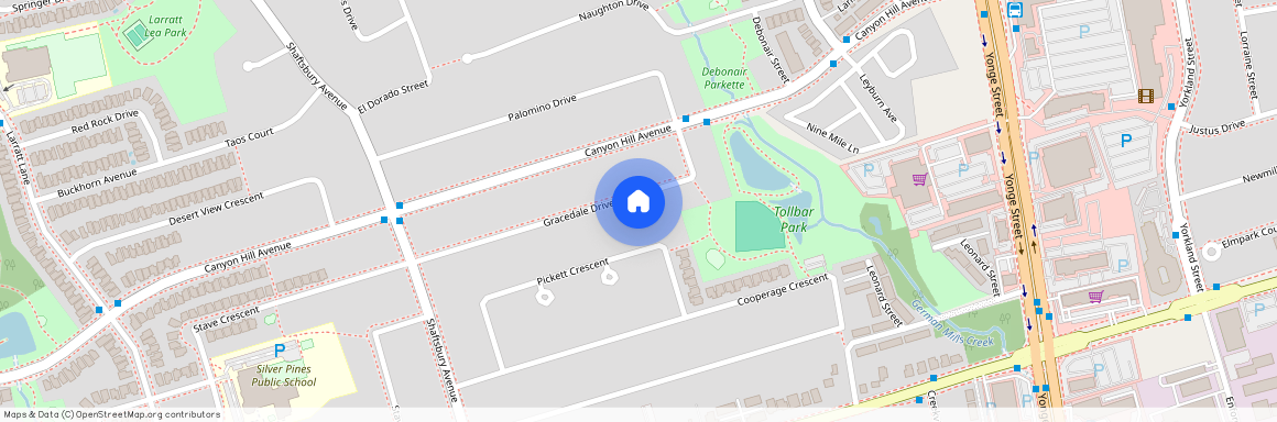 38 Gracedale Drive, Richmond Hill