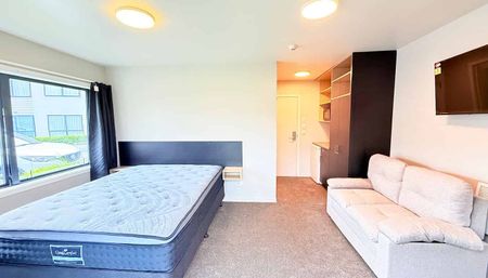 Studio Apartment - With Utiliti available - Photo 4