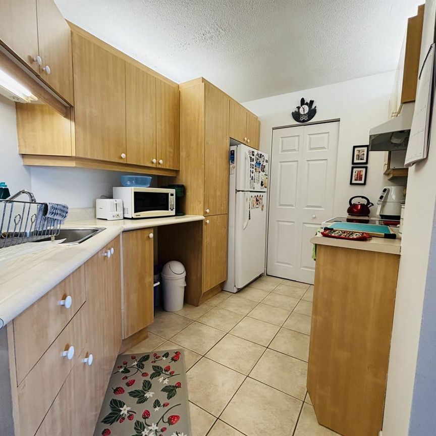 OSTRA Appartements Appartement 3 ½ à Louer Saint-Jean-Baptiste Juillet 2026 - Photo 1