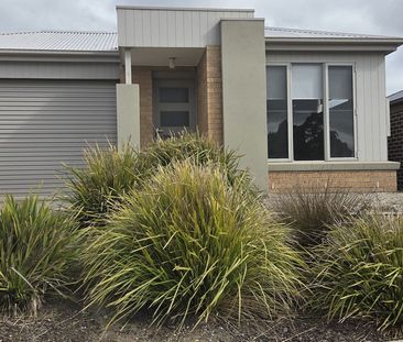 Large 4BR, 2BA home, open plan living, freshly painted, brand new c... - Photo 1