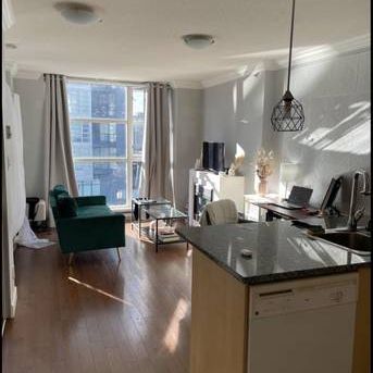 Short term Furnished downtown pet-friendly studio with amenity - Photo 4