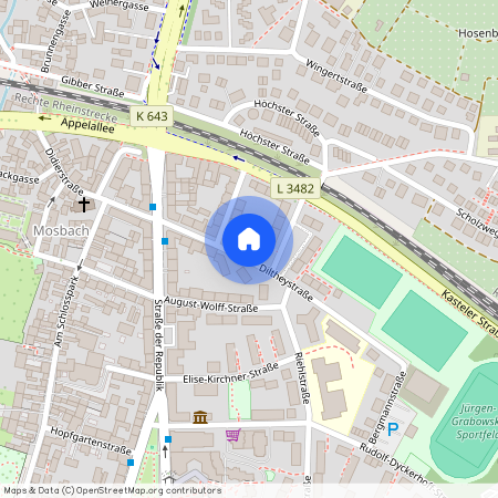 Diltheystraße 16, 65203, Wiesbaden