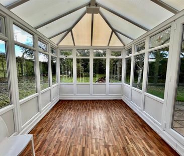 Hedge End, Winterborne Stickland, Blandford Forum, DT11, Blandford ... - Photo 1