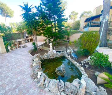 Detached Villa for Long Term Rent - Nova Santa Ponsa - Photo 4