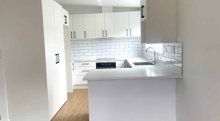 Freshly renovated three-bedroom bungalow in sought-after Mt Eden - Photo 4