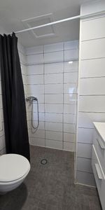 Location Appartement 1 pièce 17m² - Photo 3