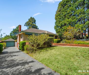 15 Hodgkinson Street, Griffith ACT 2603 - House For Rent | Domain - Photo 5