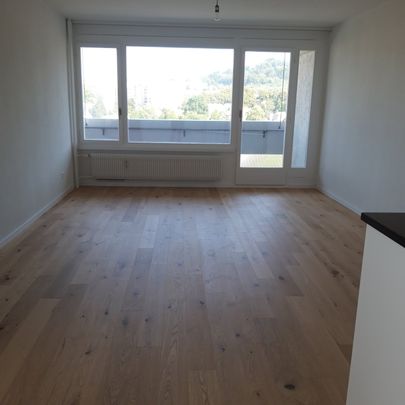 Neu renovierte 3,5-Zimmerwohnung an zentraler Lage mit wunderschöner Aussicht - Foto 1