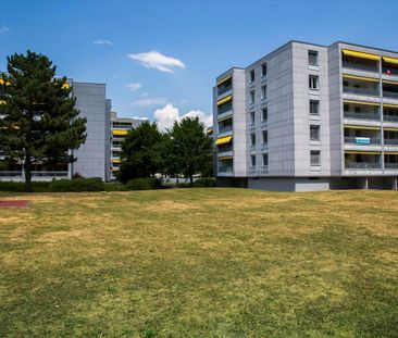 "Zentrales Studio gesucht?" - Photo 3