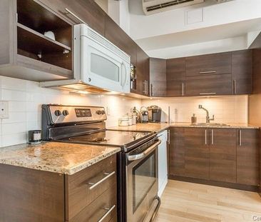 Condo for rent, Montréal (Ville-Marie) - Photo 3