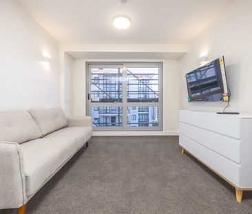 Sun-filled Apartment - Photo 5