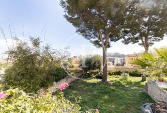 Ground floor apartment for rent in Palmanova