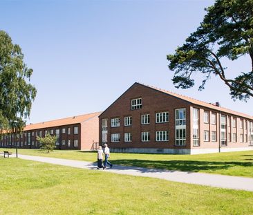 Adlercreutzgatan 9 - Foto 5