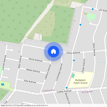 105 Laelana Avenue, Halekulani 2262, New South Wales