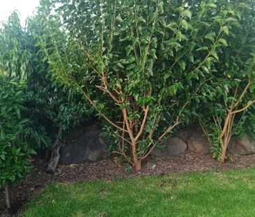 Huntfield Heights - Photo 5