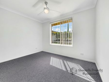 47 Minmi Rd, Edgeworth - Photo 3