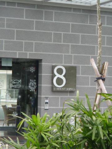 8 @ Mount Sophia (D9), Condominium - For Rent - Photo 3