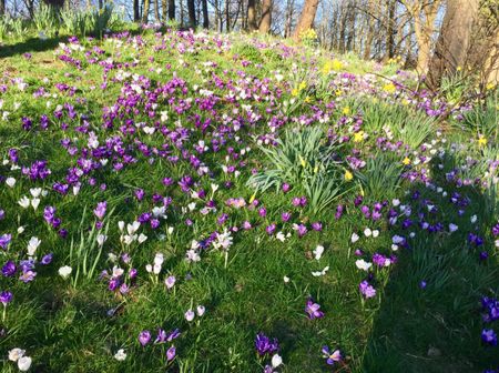 Hesketh Park - Photo 2