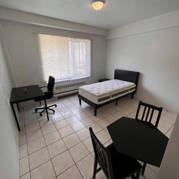 NEAR MCGILL U, GORGEOUS AND RENOVATED 1½ (pateau Mont Royal) - Photo 1