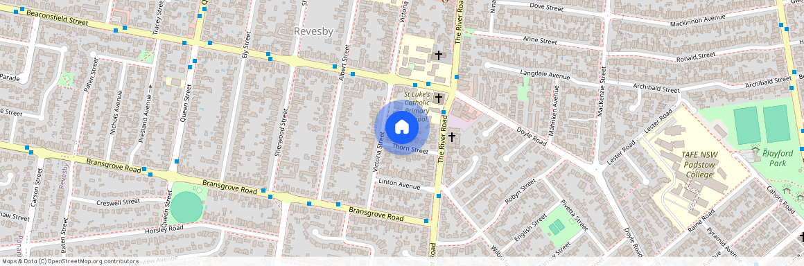 10 Thorn Street, NSW 2212, Revesby