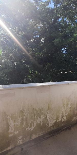 Location Appartement 1 pièce 22m² TALENCE 33400 - Photo 1