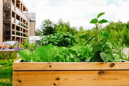 Högövägen, Växjö - Photo 4