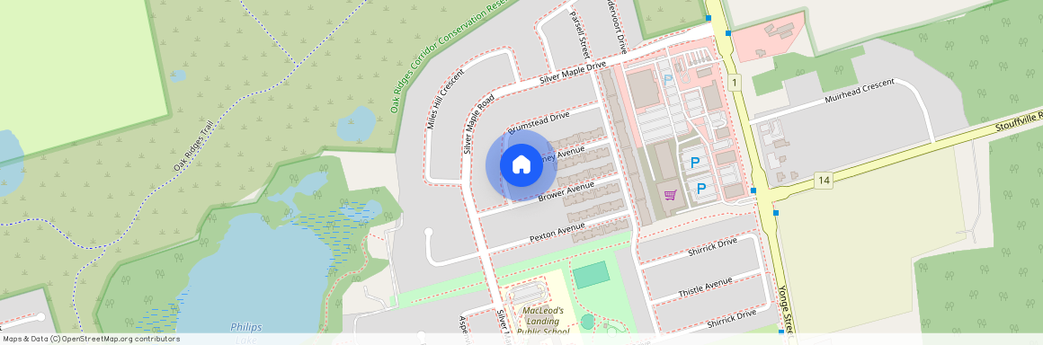 5 Pitney Avenue, Richmond Hill