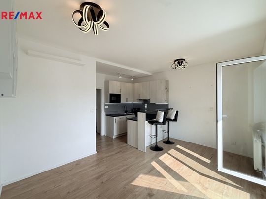 Pronájem bytu 2+kk v osobním vlastnictví 40 m², Praha 5 - Smíchov - Fotografie 1
