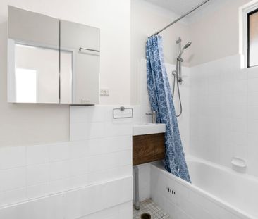 Freshly Updated Two Bedroom Apartment - Photo 3