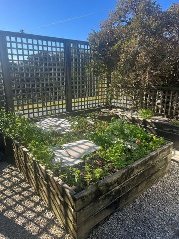 THE PERFECT SOLO PAD FOR SPRING - Photo 3