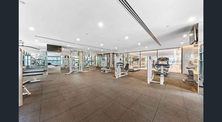 817/1 Chippendale Way, Chippendale NSW 2008 - Apartment For Rent | Domain - Photo 5