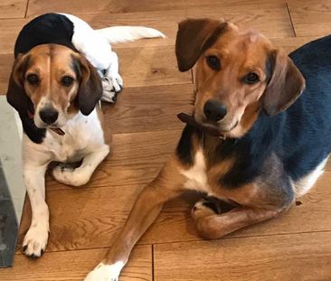 Blackensvägen, Aelvsjoe - Photo 2