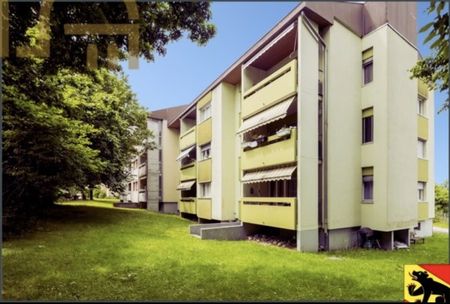 3.5 Zimmer, 65 m², 1. Stock - Photo 5