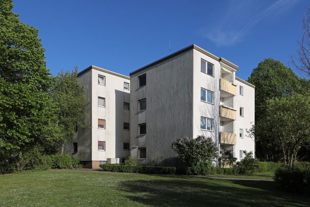 Großzügige 3-Zimmer-Wohnung in Detmerode // 3.OG Wohnung 1 - Photo 1