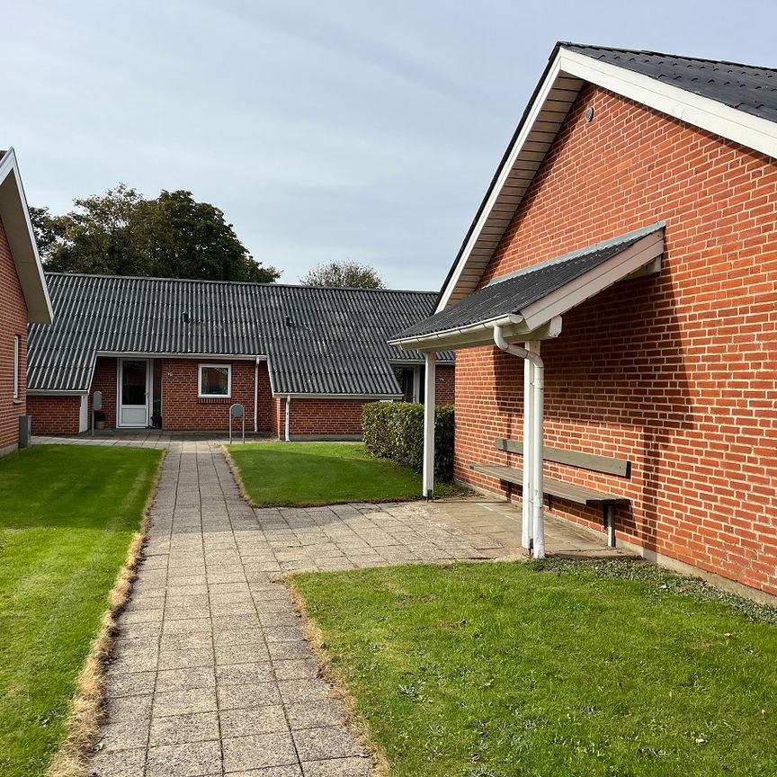 7800, Skive - Photo 1