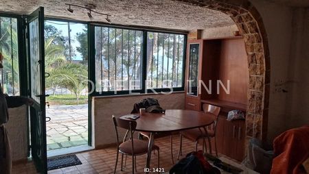 Διαμέρισμα για ενοικίαση Κινέτα (Μέγαρα) - Φωτογραφία 2