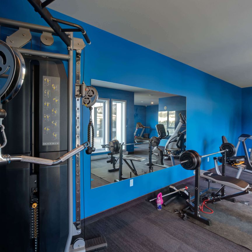 1441 Chemin Gascon - Modern 1-Bedroom Apartment for Rent - Photo 1