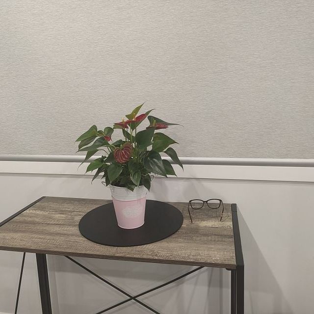 Modern 3-Bedroom Fully Furnished Home – Available - Photo 1