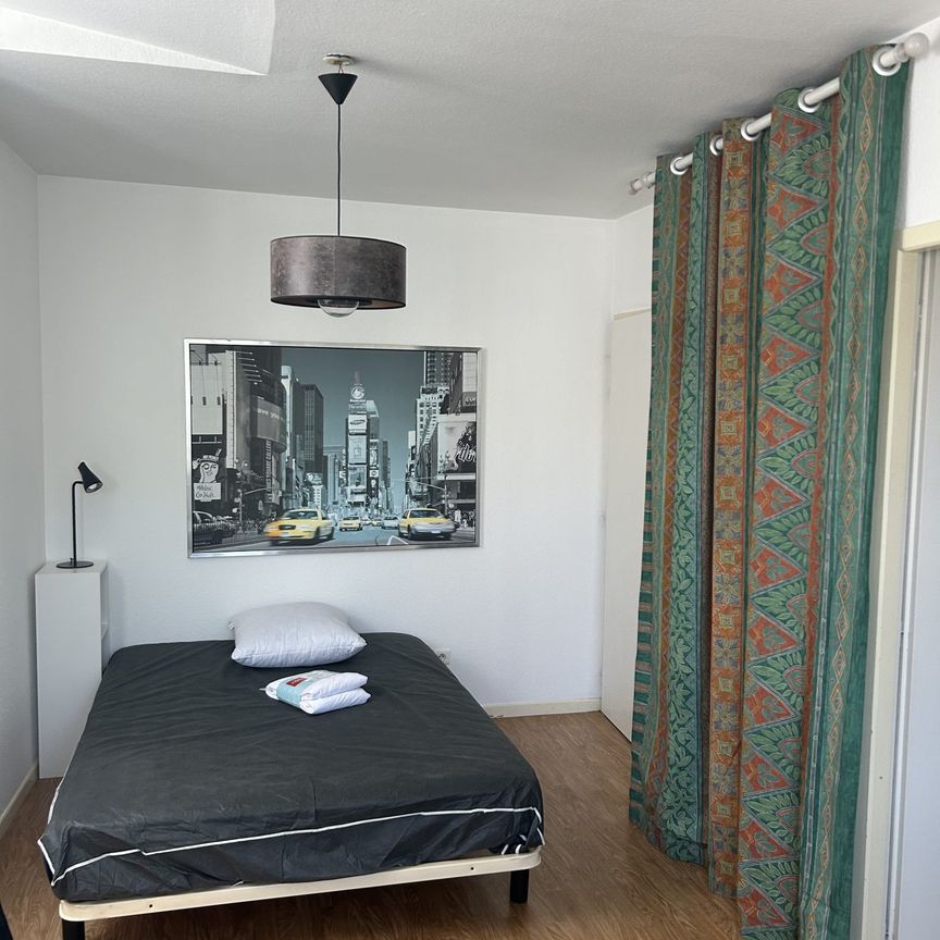 Location Appartement 1 pièce 17m² PRIVAS 07000 - Photo 1