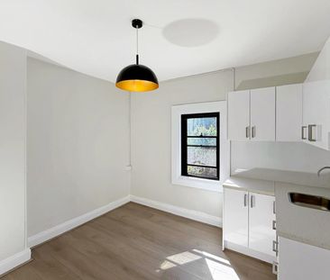 Stylish Renovated Apartment in Prime Alexandria Location - Photo 3