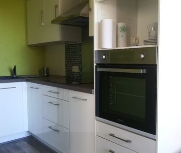 Location Appartement 1 pièce Meublé 36m² DAX 40100 - Photo 3