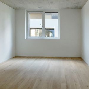 Heimkommen.... Ankommen! - Foto 2