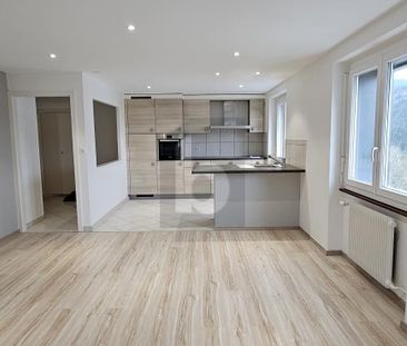 JOLIE VUE SUR LE LAC ET ENTIÉREMENT RÉNOVÉ - Foto 1